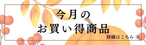 今月のおすすめ商品