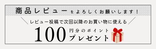 レビュー投稿で100pプレゼント