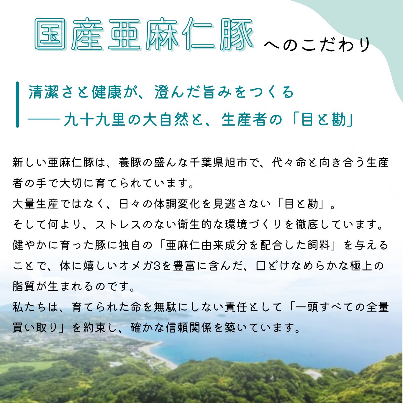 亜麻仁豚について1