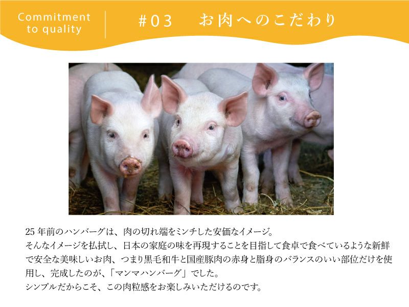 マンマプレーンハンバーグ138g