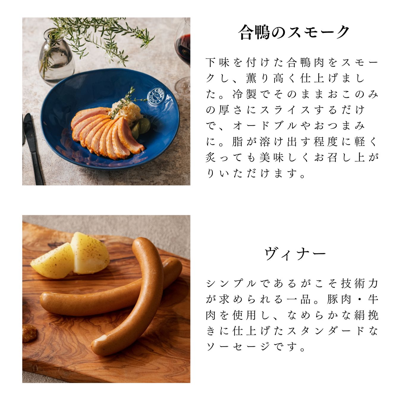 パーティセット10